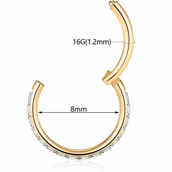 Hot Selling 316L Surgical Stainless Steel Jewelry Piercings Hinged Segment Ring
